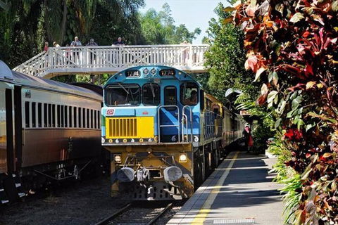 Kuranda Day Tour + HotAir Balloon Combo - New South Wales Tourism  4