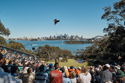Sydney Taronga Zoo General Entry Ticket And Wild Australia Experience - New South Wales Tourism  5