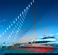 Passions of Paradise Great Barrier Reef Snorkel and Dive Cruise from Cairns by Luxury Catamaran - New South Wales Tourism 