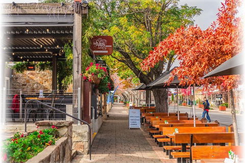 Adelaide City Highlights With Hahndorf And Mt. Lofty - New South Wales Tourism  5
