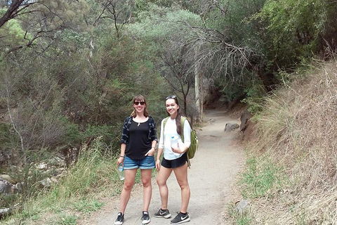 Self-Guided Waterfall Gully To Mount Lofty Hike From Adelaide - New South Wales Tourism  4