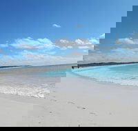 Shipwreck Special Nature Tour/Half Day Tour - New South Wales Tourism 