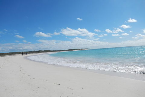 Shipwreck Special Nature Tour/Half Day Tour - New South Wales Tourism  0