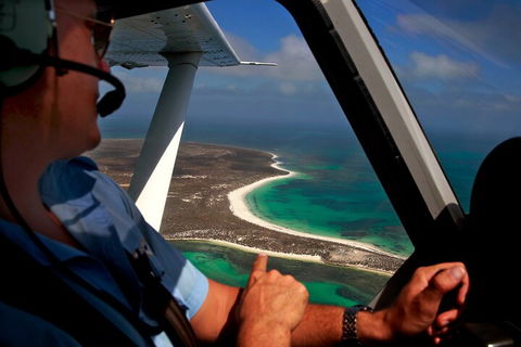 Shipwreck Special Nature Tour/Half Day Tour - New South Wales Tourism  1