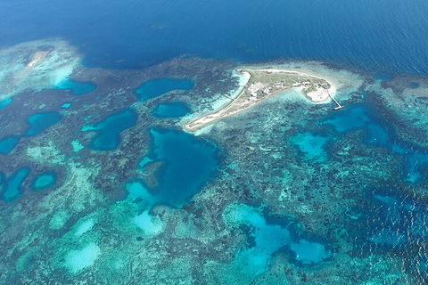 Shipwreck Special Nature Tour/Half Day Tour - New South Wales Tourism  5