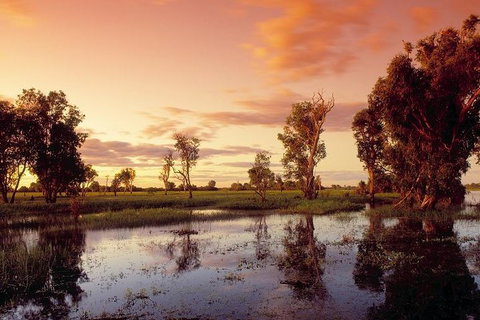 3-Day Kakadu National Park And Arnhem Land Explorer Tour From Darwin - New South Wales Tourism  1