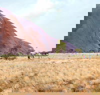 Uluru Sunrise and Guided Base Walk - New South Wales Tourism 