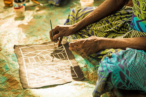Tiwi Islands Cultural Experience From Darwin Including Ferry - New South Wales Tourism  1