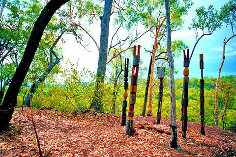 Tiwi Islands Cultural Experience From Darwin Including Ferry - New South Wales Tourism  3