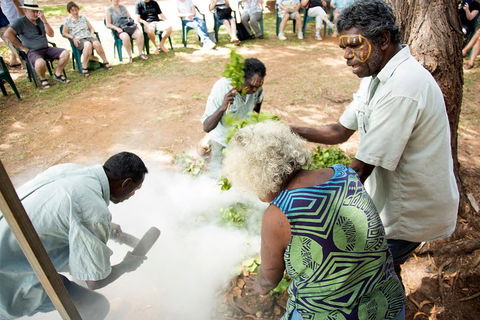Tiwi Islands Cultural Experience From Darwin Including Ferry - New South Wales Tourism  4