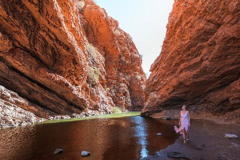 West MacDonnell Ranges- Half Day Trip From Alice Springs - New South Wales Tourism  1
