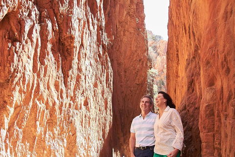 West MacDonnell Ranges- Half Day Trip From Alice Springs - New South Wales Tourism  2