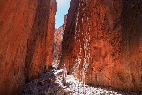 West MacDonnell Ranges- Half Day Trip From Alice Springs - New South Wales Tourism  3