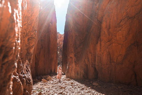 West MacDonnell Ranges- Half Day Trip From Alice Springs - New South Wales Tourism  4