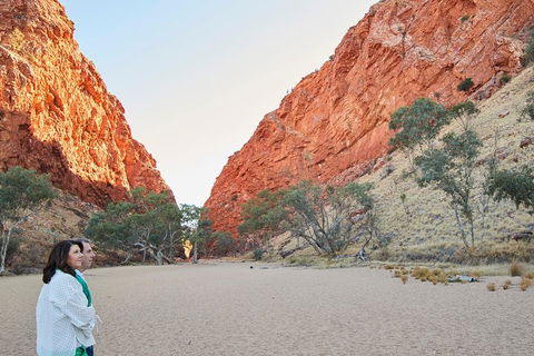 West MacDonnell Ranges- Half Day Trip From Alice Springs - New South Wales Tourism  5