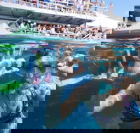 Great Barrier Reef Day Cruise from Cairns Including Snorkeling and Marine Biologist Presentation - New South Wales Tourism 