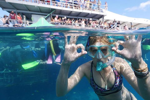Great Barrier Reef Day Cruise From Cairns Including Snorkeling And Marine Biologist Presentation - New South Wales Tourism  0