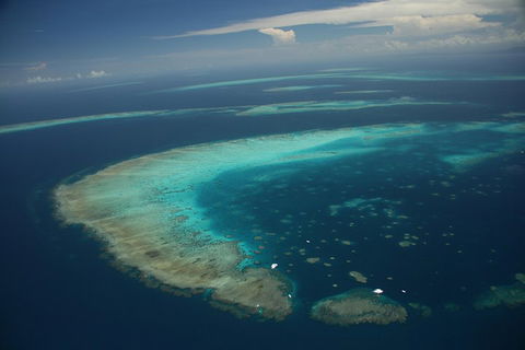 Great Barrier Reef Day Cruise From Cairns Including Snorkeling And Marine Biologist Presentation - New South Wales Tourism  1