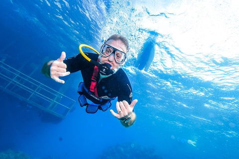 Great Barrier Reef Day Cruise From Cairns Including Snorkeling And Marine Biologist Presentation - New South Wales Tourism  3