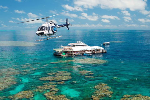 Great Barrier Reef Day Cruise From Cairns Including Snorkeling And Marine Biologist Presentation - New South Wales Tourism  5