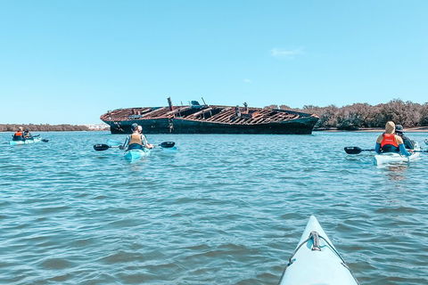 Kayak Tour In Adelaide Dolphin Sanctuary - New South Wales Tourism  3