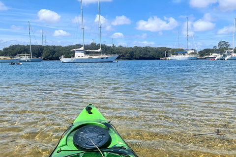Kayak Tour In Adelaide Dolphin Sanctuary - New South Wales Tourism  4