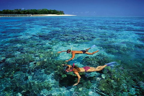 Green Island Day Trip From Cairns - New South Wales Tourism  5