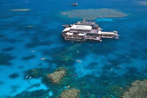 Quicksilver Outer Great Barrier Reef Snorkel Cruise From Palm Cove - New South Wales Tourism  1