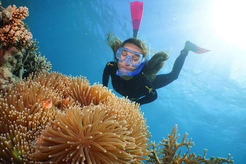 Quicksilver Outer Great Barrier Reef Snorkel Cruise From Palm Cove - New South Wales Tourism  2