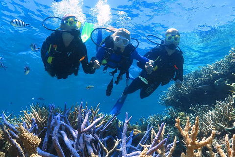Quicksilver Outer Great Barrier Reef Snorkel Cruise From Palm Cove - New South Wales Tourism  3