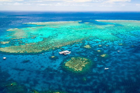 Quicksilver Outer Great Barrier Reef Snorkel Cruise From Palm Cove - New South Wales Tourism  4