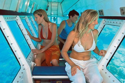 Quicksilver Outer Great Barrier Reef Snorkel Cruise From Palm Cove - New South Wales Tourism  5