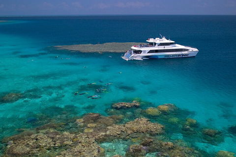 Silversonic Outer Great Barrier Reef Dive And Snorkel Cruise From Port Douglas - New South Wales Tourism  2