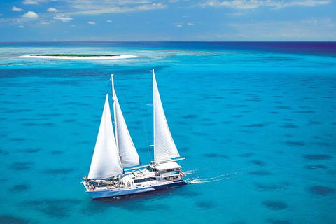 Ultimate 3-Day Great Barrier Reef Cruise Pass - New South Wales Tourism  5