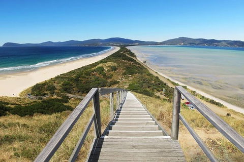 Bruny Island Private Charter Service - New South Wales Tourism  4