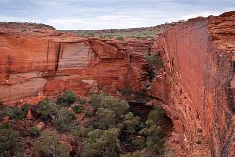Uluru, Kata Tjuta And Kings Canyon Camping Safari From Ayers Rock - New South Wales Tourism  1