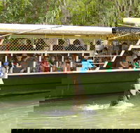 Hartley's Crocodile Adventure Half-Day Tour - New South Wales Tourism 