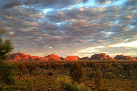5-Hour Kata Tjuta Sunrise Tour From Ayers Rock With Breakfast - New South Wales Tourism  1
