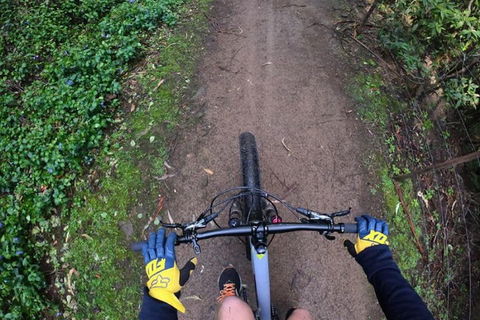 Explore Downhill Mountain In 3-Hour Bike Tour From Hobart - New South Wales Tourism  2
