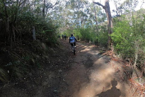 Explore Downhill Mountain In 3-Hour Bike Tour From Hobart - New South Wales Tourism  3
