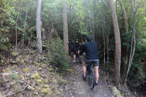 Explore Downhill Mountain In 3-Hour Bike Tour From Hobart - New South Wales Tourism  4