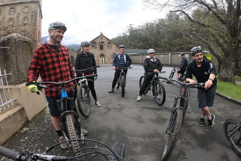Explore Downhill Mountain In 3-Hour Bike Tour From Hobart - New South Wales Tourism  5