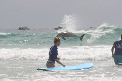 10-Day Surf Adventure From Sydney To Brisbane Including Coffs Harbour, Byron Bay And Gold Coast - New South Wales Tourism  0