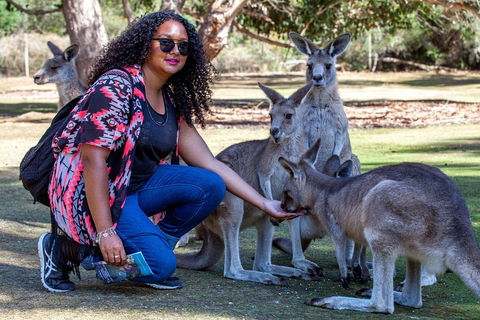 3-Day Tasmania Combo: Hobart To Launceston Active Tour - New South Wales Tourism  5