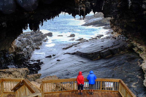 2-Day Kangaroo Island Safari From Adelaide - New South Wales Tourism  5