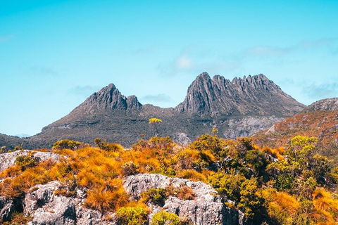 Cradle Mountain National Park Day Tour From Launceston - New South Wales Tourism  1