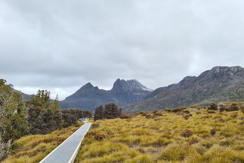 Cradle Mountain National Park Day Tour From Launceston - New South Wales Tourism  2