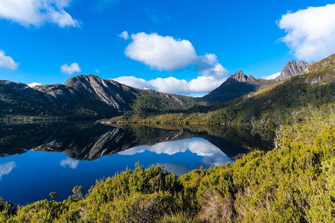 Cradle Mountain National Park Day Tour From Launceston - New South Wales Tourism  3