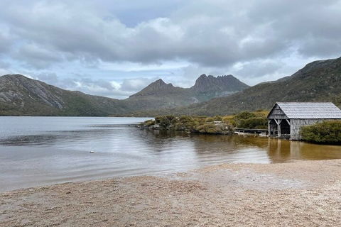 Cradle Mountain National Park Day Tour From Launceston - New South Wales Tourism  4