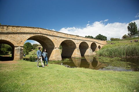 Bonorong Wildlife Park And Richmond Afternoon Tour From Hobart - New South Wales Tourism  0